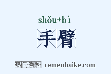 手臂是什么意思的图片